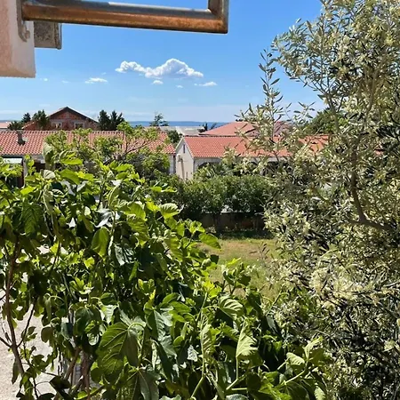 Apartment Zdenka *